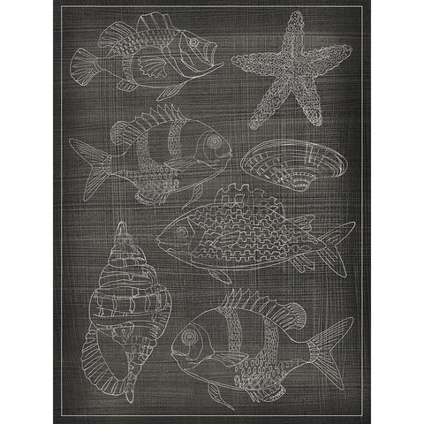 Sea Chart II Black Modern Wood Framed Art Print with Double Matting by Zarris, Chariklia