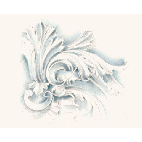 Acanthuys Ornament II White Modern Wood Framed Art Print by Harper, Ethan