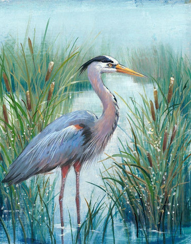 Marsh Heron I Black Ornate Wood Framed Art Print with Double Matting by OToole, Tim