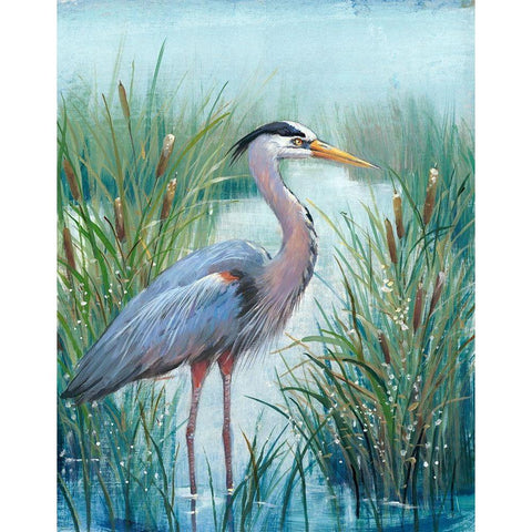 Marsh Heron I Gold Ornate Wood Framed Art Print with Double Matting by OToole, Tim