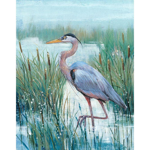 Marsh Heron II Black Modern Wood Framed Art Print with Double Matting by OToole, Tim