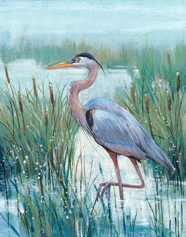 Marsh Heron II White Modern Wood Framed Art Print with Double Matting by OToole, Tim