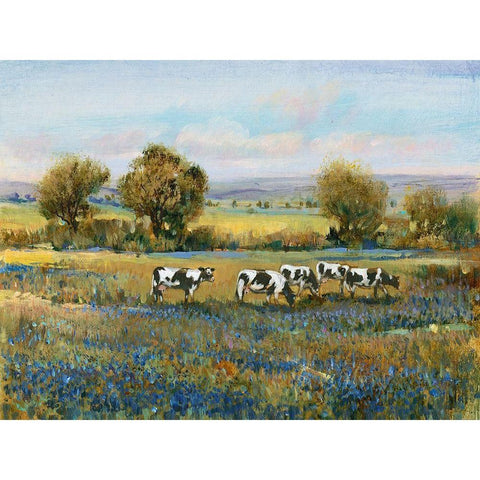 Field of Cattle I Gold Ornate Wood Framed Art Print with Double Matting by OToole, Tim