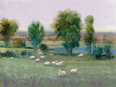 Field of Sheep I White Modern Wood Framed Art Print with Double Matting by OToole, Tim