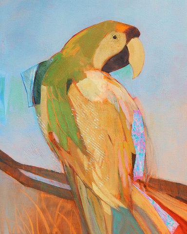 Parrot Wonder I White Modern Wood Framed Art Print with Double Matting by Forgard, Larry