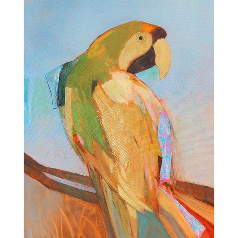 Parrot Wonder I Black Modern Wood Framed Art Print with Double Matting by Forgard, Larry