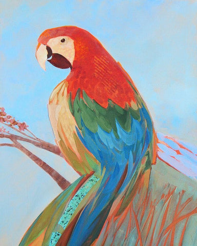 Parrot Wonder II Black Ornate Wood Framed Art Print with Double Matting by Forgard, Larry