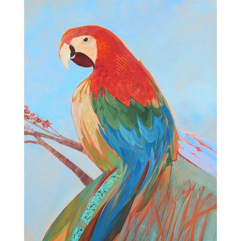 Parrot Wonder II White Modern Wood Framed Art Print by Forgard, Larry