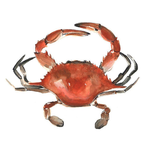 Watercolor Crab I White Modern Wood Framed Art Print with Double Matting by Scarvey, Emma