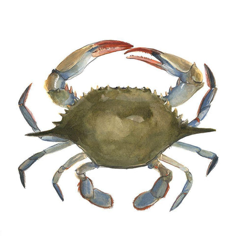 Watercolor Crab II White Modern Wood Framed Art Print with Double Matting by Scarvey, Emma