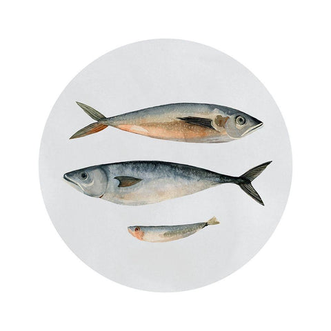 Three Fish I White Modern Wood Framed Art Print with Double Matting by Scarvey, Emma