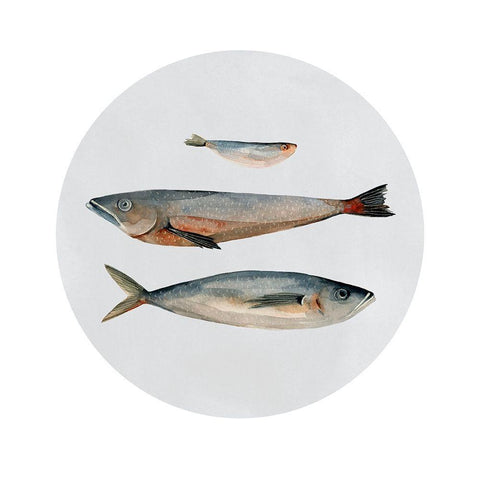 Three Fish II White Modern Wood Framed Art Print with Double Matting by Scarvey, Emma