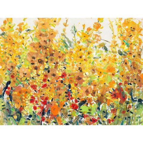 Golden Summer Garden II White Modern Wood Framed Art Print by OToole, Tim