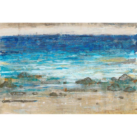 Rocky Shoreline II Gold Ornate Wood Framed Art Print with Double Matting by OToole, Tim