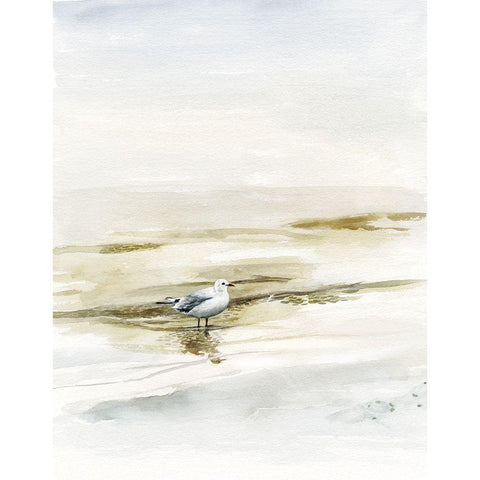 Coastal Gull I Black Modern Wood Framed Art Print with Double Matting by Borges, Victoria