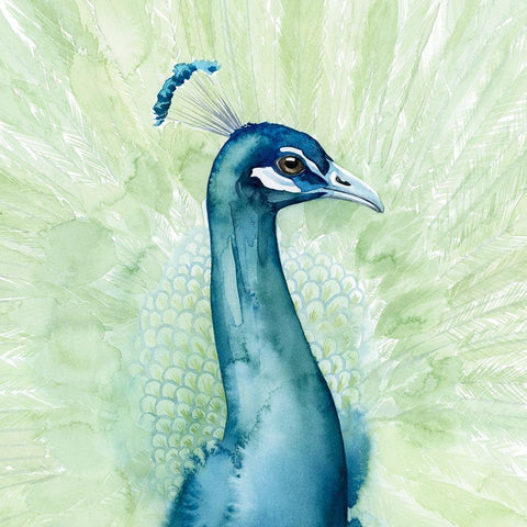 Lucent Plume I Black Modern Wood Framed Art Print with Double Matting by Popp, Grace