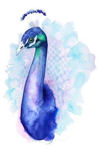 Bejeweled Peacock II White Modern Wood Framed Art Print with Double Matting by Popp, Grace