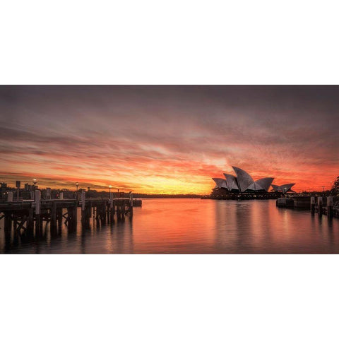 Color Reflections White Modern Wood Framed Art Print by Head, Danny