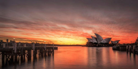 Color Reflections Black Ornate Wood Framed Art Print with Double Matting by Head, Danny