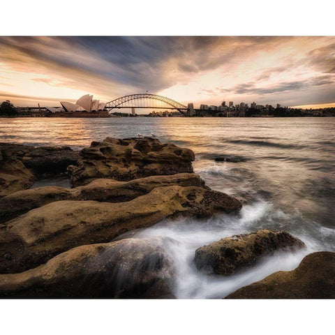 Sydney in Gold and Blue Black Modern Wood Framed Art Print by Head, Danny