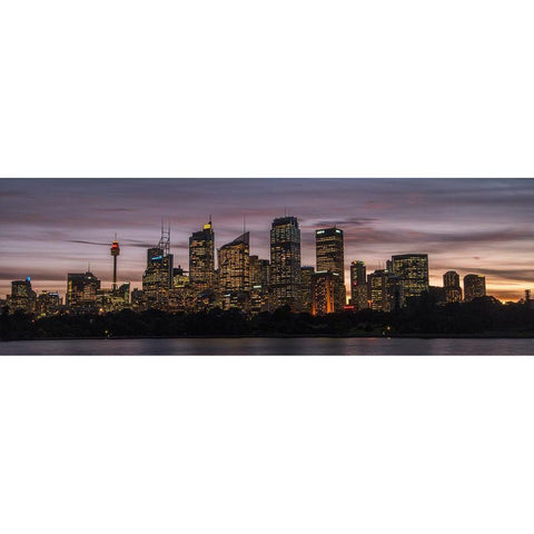 Sydney Skyline White Modern Wood Framed Art Print by Head, Danny