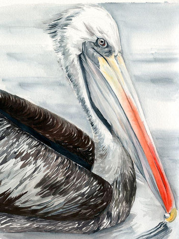 Grey Pelican I Black Ornate Wood Framed Art Print with Double Matting by Parker, Jennifer Paxton