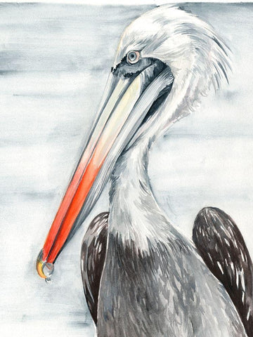 Grey Pelican II White Modern Wood Framed Art Print with Double Matting by Parker, Jennifer Paxton