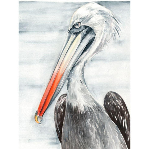 Grey Pelican II Black Modern Wood Framed Art Print with Double Matting by Parker, Jennifer Paxton