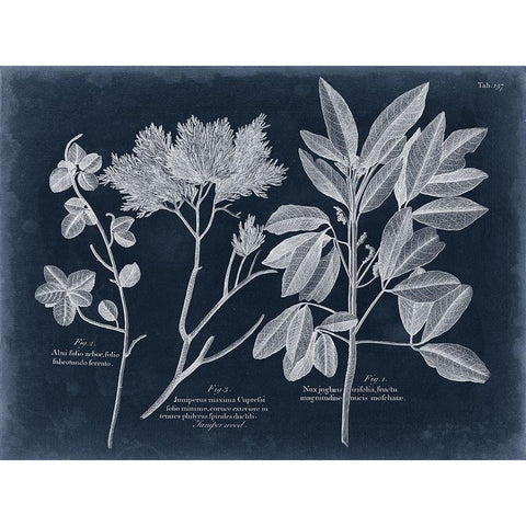 Foliage on Navy VI Black Modern Wood Framed Art Print with Double Matting by Vision Studio