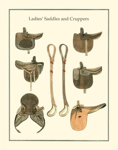 Ladies Saddles Black Ornate Wood Framed Art Print with Double Matting by Vision Studio