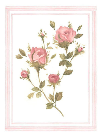 Rose Pattern I White Modern Wood Framed Art Print with Double Matting by Scarvey, Emma