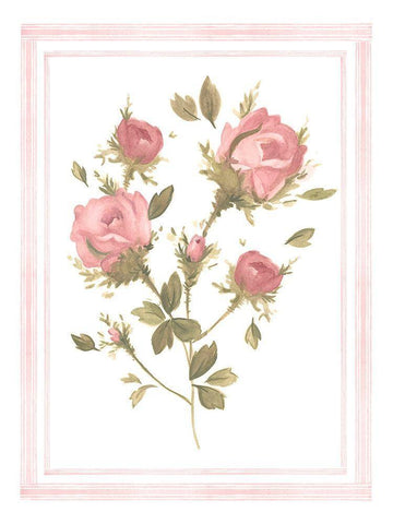 Rose Pattern II White Modern Wood Framed Art Print with Double Matting by Scarvey, Emma