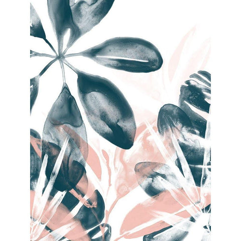 Tropical Blush I Black Modern Wood Framed Art Print with Double Matting by Vess, June Erica