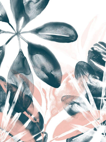 Tropical Blush I White Modern Wood Framed Art Print with Double Matting by Vess, June Erica