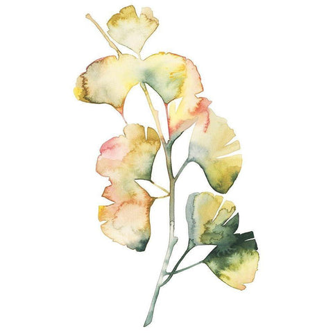 Maidenhair Branch I White Modern Wood Framed Art Print by Popp, Grace