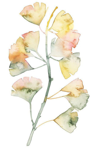 Maidenhair Branch II White Modern Wood Framed Art Print with Double Matting by Popp, Grace