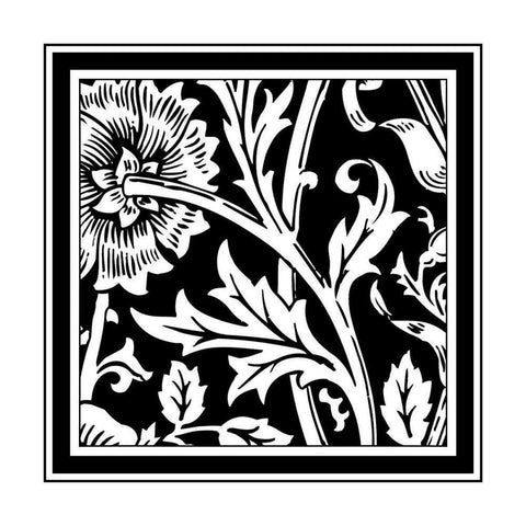 BandW Graphic Floral Motif IV White Modern Wood Framed Art Print with Double Matting by Vision Studio