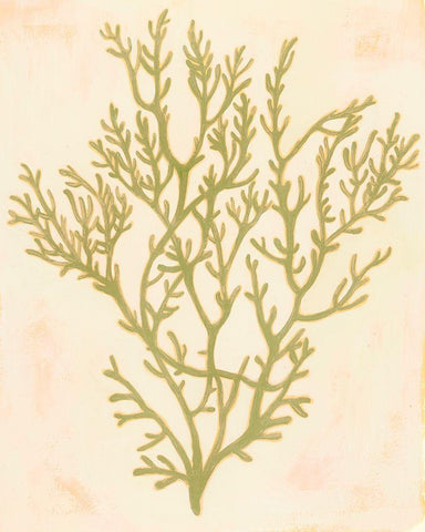 Deep Sea Coral I Black Ornate Wood Framed Art Print with Double Matting by Popp, Grace