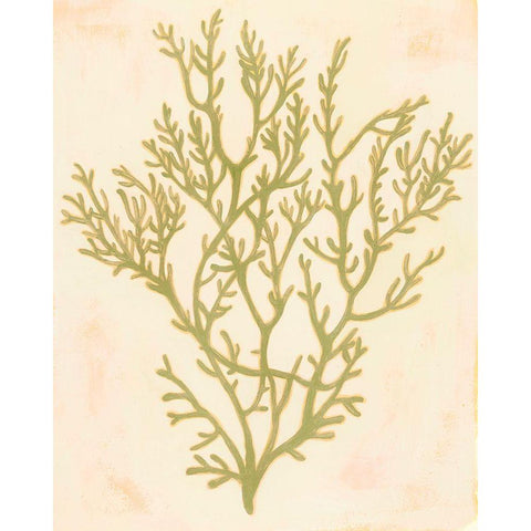 Deep Sea Coral I Black Modern Wood Framed Art Print by Popp, Grace