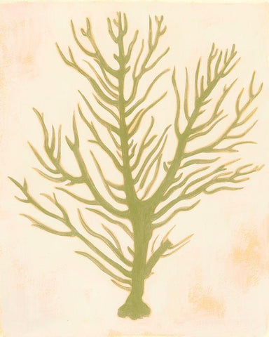 Deep Sea Coral II White Modern Wood Framed Art Print with Double Matting by Popp, Grace