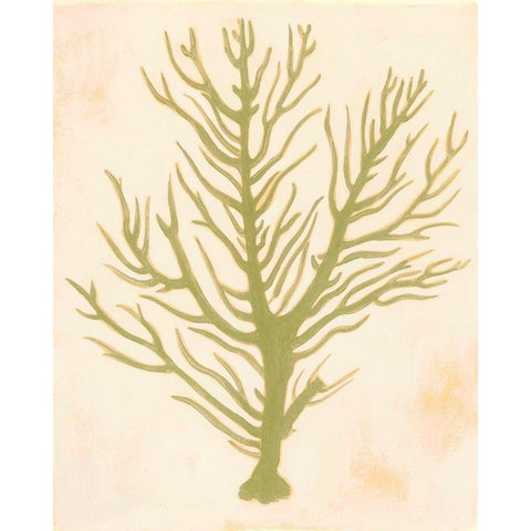 Deep Sea Coral II Black Modern Wood Framed Art Print by Popp, Grace