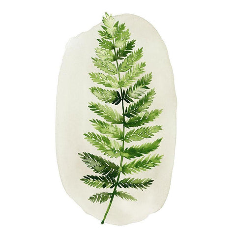 Spot Fern II Black Modern Wood Framed Art Print with Double Matting by Popp, Grace