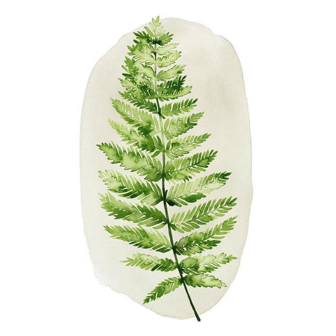 Spot Fern III White Modern Wood Framed Art Print by Popp, Grace