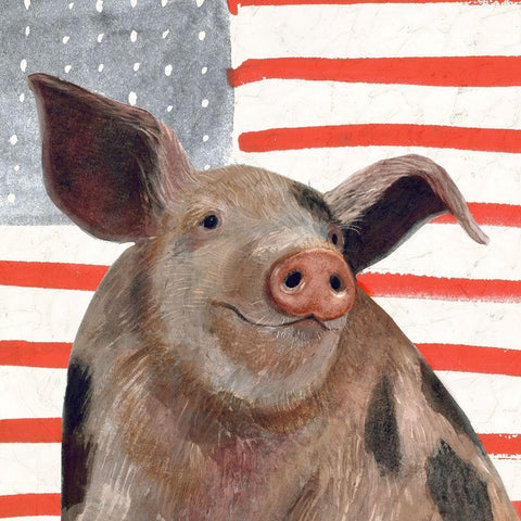 Patriotic Farm IV White Modern Wood Framed Art Print with Double Matting by Borges, Victoria