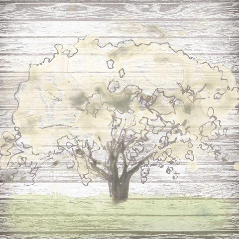 Barn Tree I White Modern Wood Framed Art Print with Double Matting by Vess, June Erica