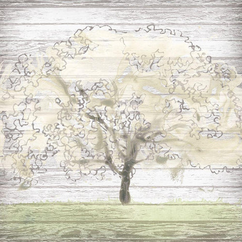 Barn Tree II White Modern Wood Framed Art Print with Double Matting by Vess, June Erica