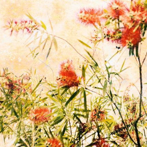 Bottle Brush I Gold Ornate Wood Framed Art Print with Double Matting by Nall, Skip