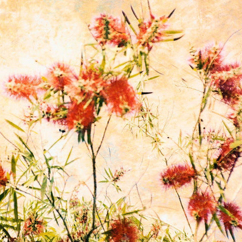 Bottle Brush II Gold Ornate Wood Framed Art Print with Double Matting by Nall, Skip