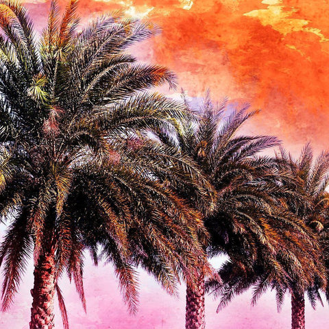 Hifi Palms I White Modern Wood Framed Art Print by Nall, Skip