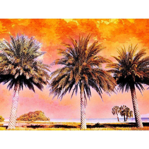 Hifi Palms II Black Modern Wood Framed Art Print with Double Matting by Nall, Skip